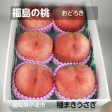 【種まきうさぎ】硬い 桃 おどろき 2kg（6～7個） 福島県伊達市 《2023年7月下旬～8上旬出荷》