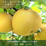 梨 【箭内厳雄果樹園】 甘太 新興 にっこり 1～3種入り 3kg 6～7個 《11/上旬～11/中旬より出荷》