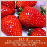 いちご 《 業務用 》 とちあいか L24個(2L20個)×4P×3箱 約4.2㎏ 栃木県産 イチゴ 国産 苺 生食