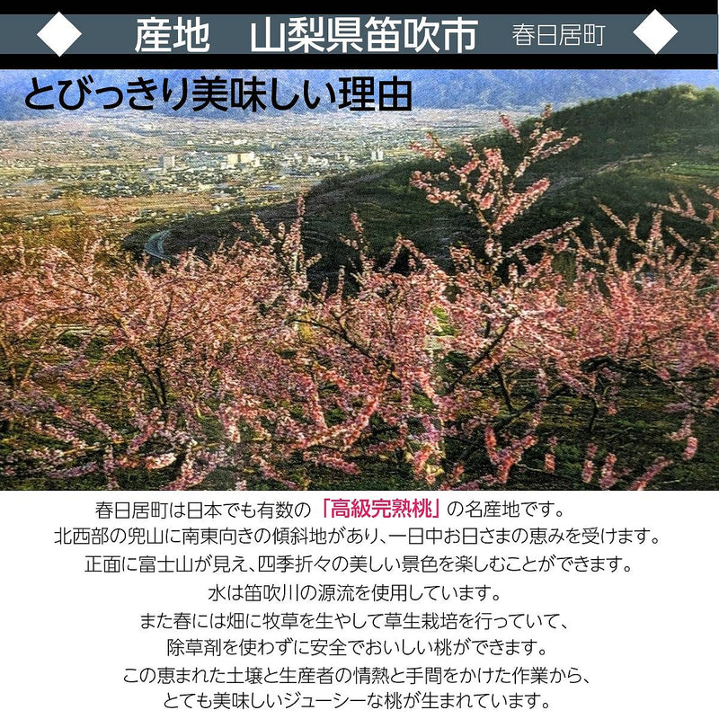 桃 【芦澤農園】 もも 高級 春日居の桃 2kg 大玉 5～6個  お中元 御中元 山梨県笛吹市 《6/下旬～7/上旬より出荷》