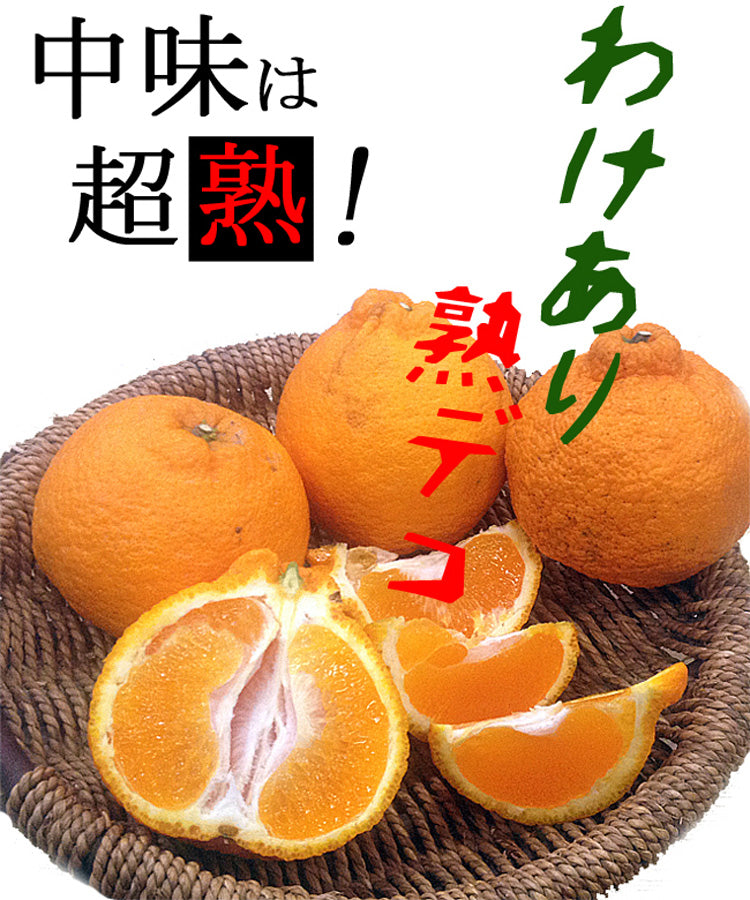 みかん 【みかんの館】 有田 ブランド産地 田村地区産 熟デコ 不知火 3㎏ 訳あり 家庭用 和歌山県 デコポン と同品種 みかん 柑橘 《2/中旬～2/下旬より出荷》