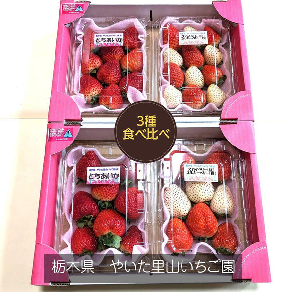 【やいた里山いちご園】いちご イチゴ 苺 食べ比べ とちあいか２パック ミルキーベリー/スカイベリー1パックずつ （280g×4パック）栃木県矢板市