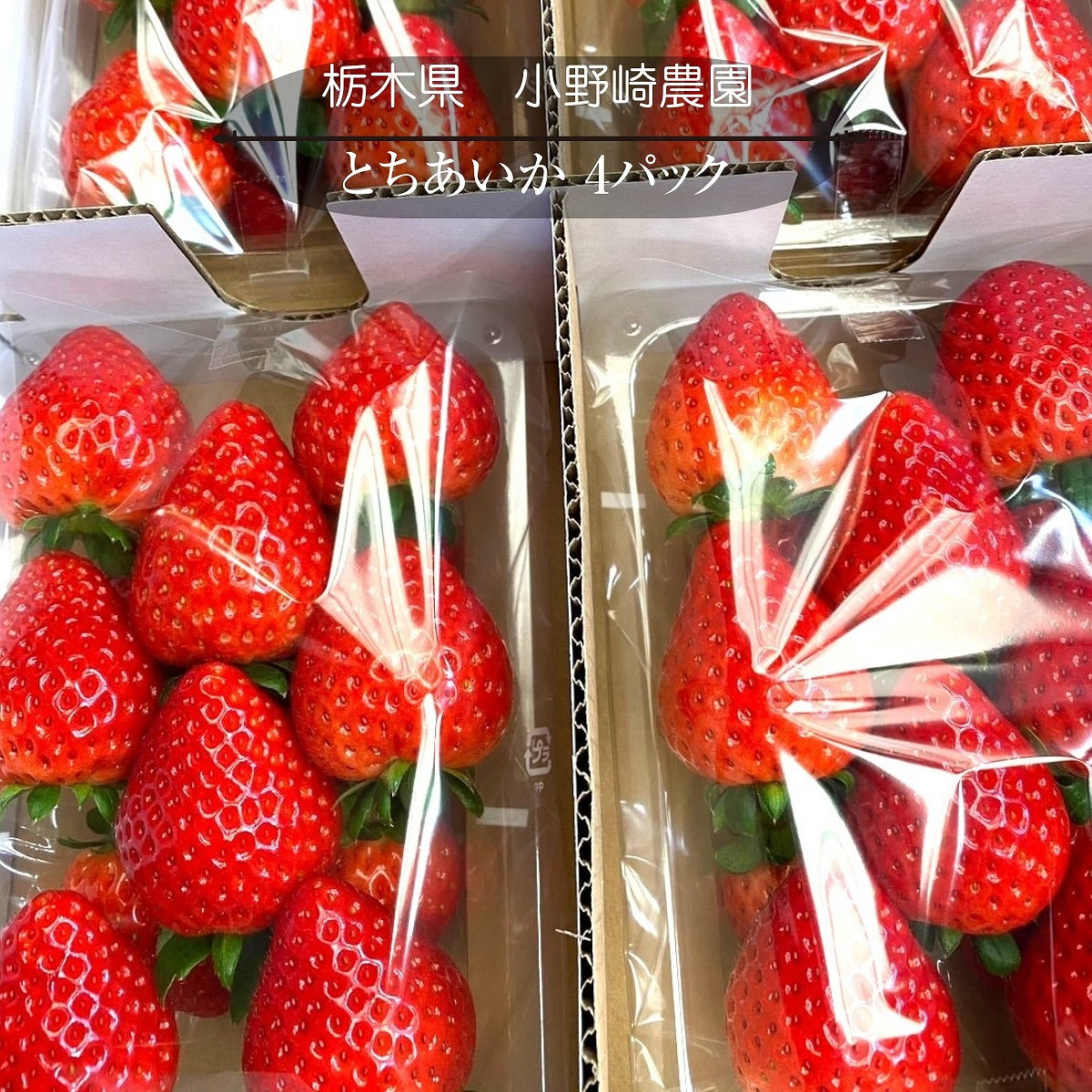 業務用 冷凍いちご お試し用 1kg 国産 栃木県産 イチゴ – にこやか