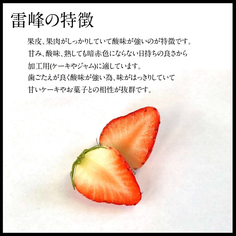 いちご 夏いちご  業務用 雷峰 すずあかね バラ小  1120g (280g×4P)×1箱 訳あり B品  小さめ 福島県 飯館 ケーキ お菓子作り イチゴ 苺 夏
