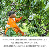 桃 【芦澤農園】 もも 高級 春日居の桃 2kg 大玉 5～6個  お中元 御中元 山梨県笛吹市 《6/下旬～7/上旬より出荷》