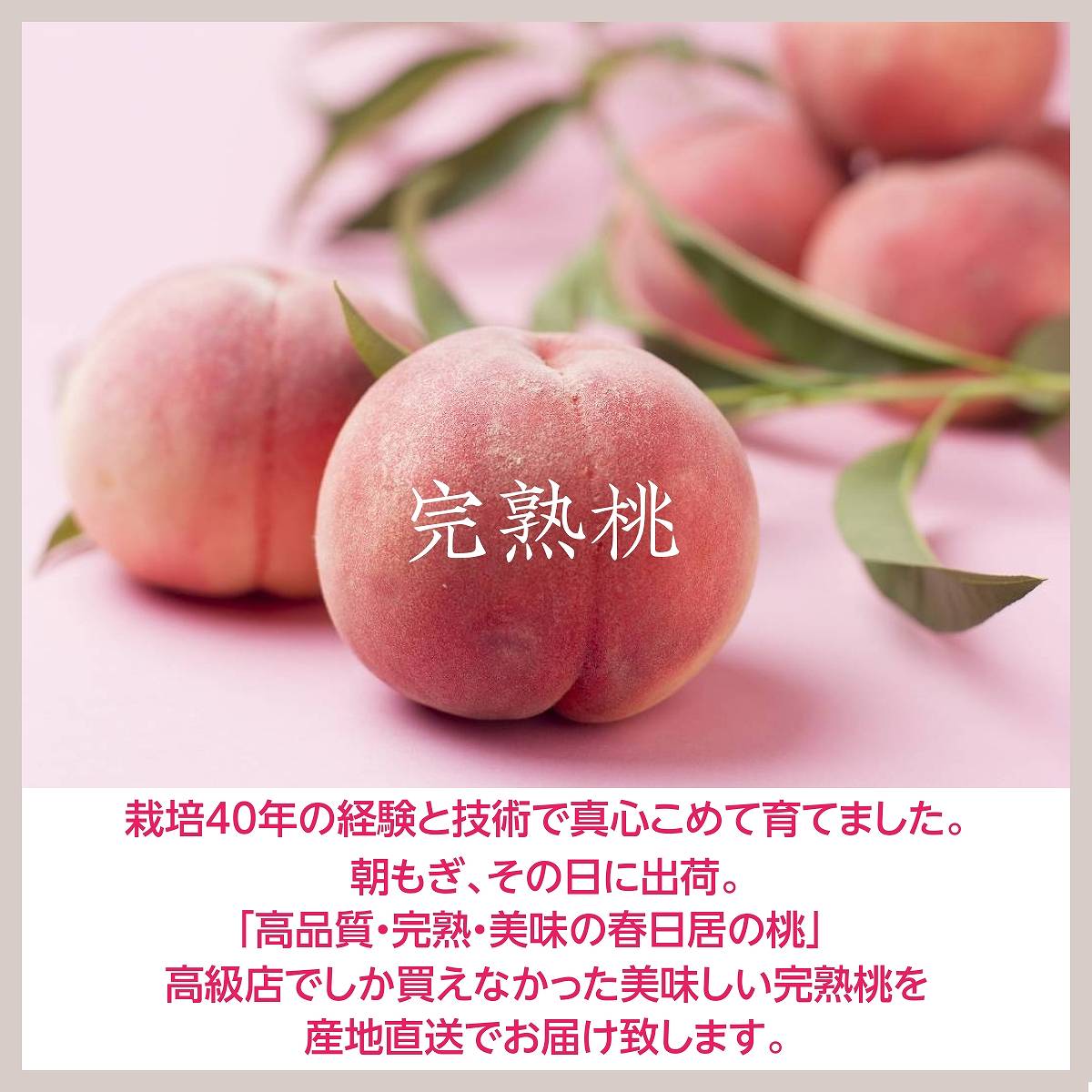 s-_4_3102df80-45ca-4ba1-892f-