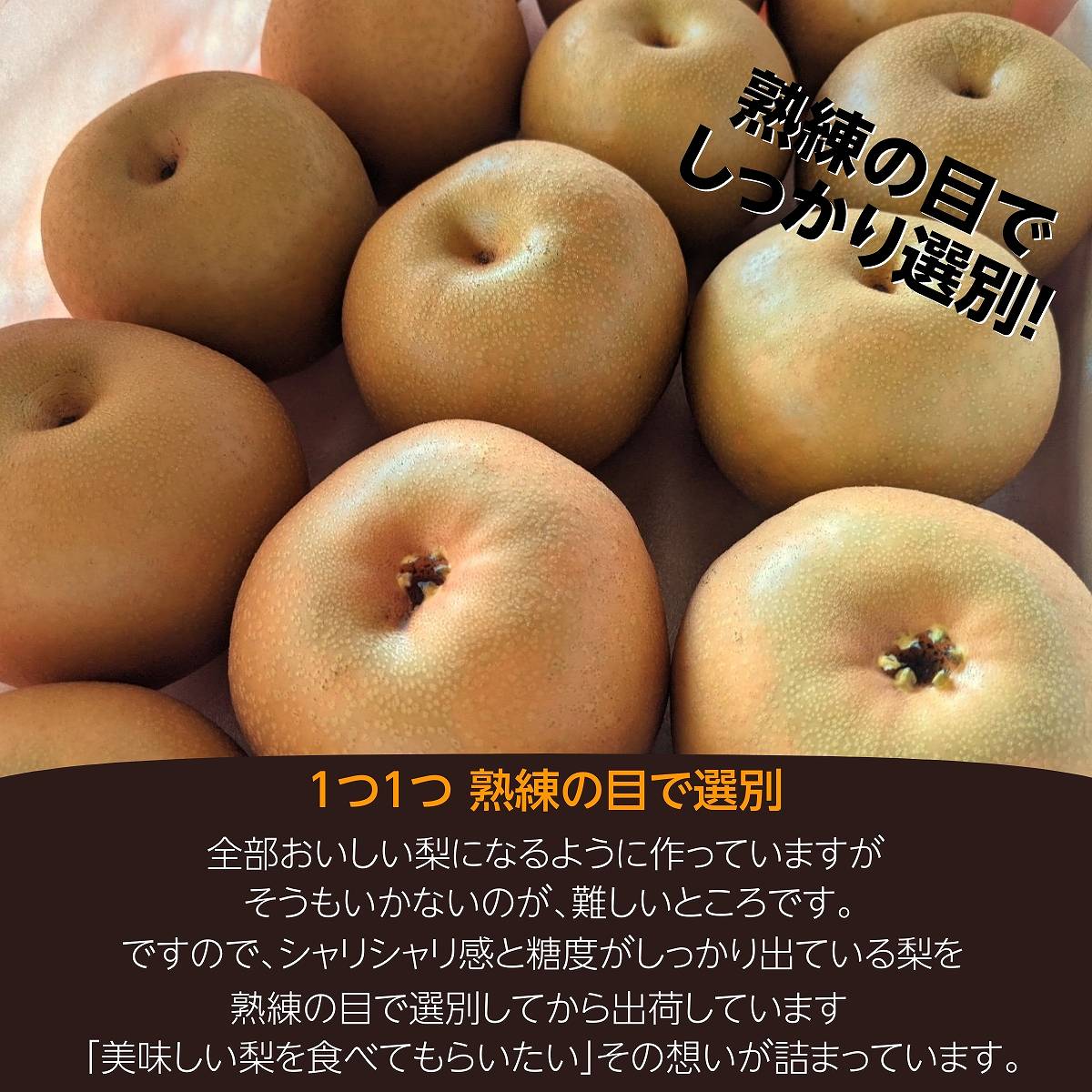 梨 【箭内厳雄果樹園】 甘太 新興 にっこり 1～3種入り 3kg 6～7個