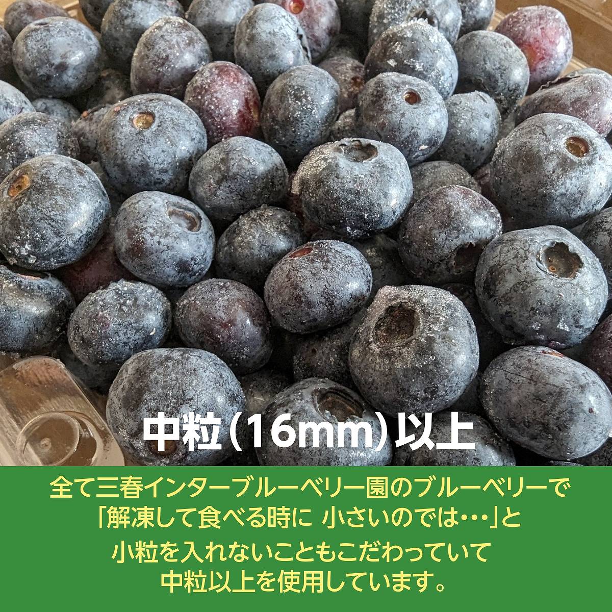 ブルーベリー 【三春インターブルーベリー園】 冷凍ブルーベリー 中粒