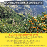 みかん 【みかんの館】 有田みかん ブランド産地 田村地区産 贈答用 秀 M 10kg 90~100個 和歌山県 蜜柑 ミカン 柑橘 《11/上旬～11/中旬より出荷》