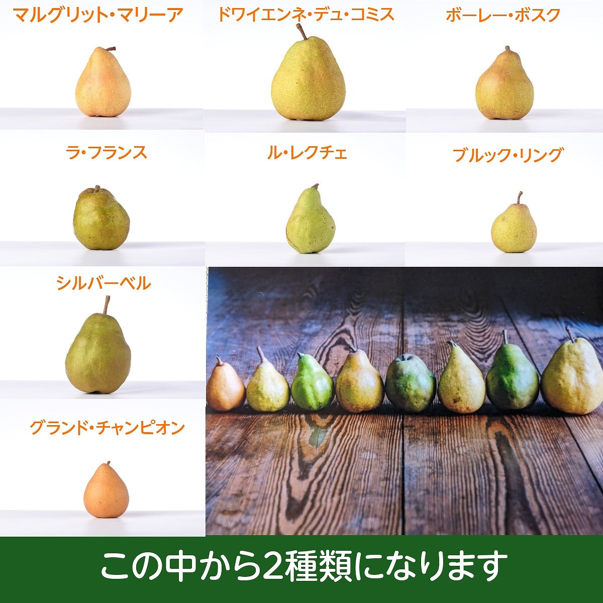 洋梨 【あべき倶楽部】 洋ナシ 2種類入り 1.8kg 3～8個 ご家庭用 訳