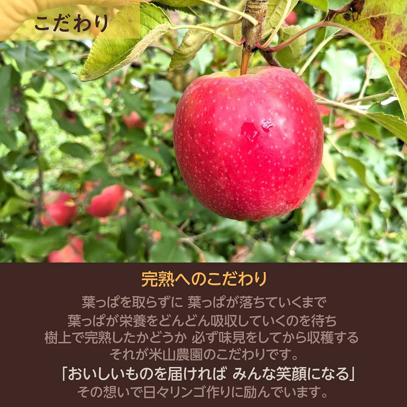 りんご 【信州安曇野 米山農園】 小玉りんご ピンクレディ ちょっと良い家庭用 2.5～3kg 10～15個 長野県安曇野 林檎