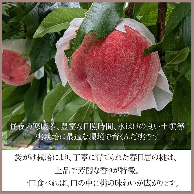 桃 【芦澤農園】 もも 高級 春日居の桃 2kg 大玉 5～6個  お中元 御中元 山梨県笛吹市 《6/下旬～7/上旬より出荷》