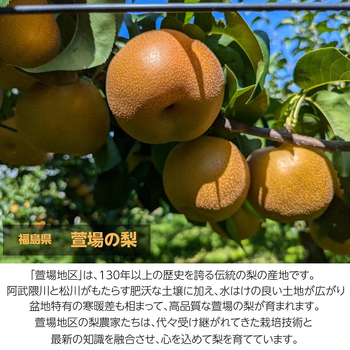 s-_5_518f7456-6cec-4793-94fd-