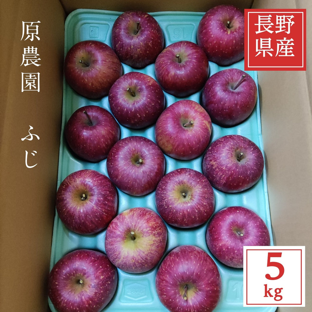 山形県産りんごサンふじ 贈答用 特秀5キロ18玉 - 果物