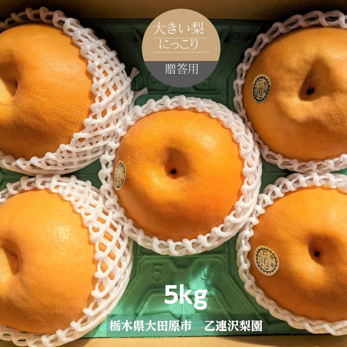 梨 【乙連沢梨園】大きい にっこり 大ビッグサイズ 5kg (1kg×5個) 贈答