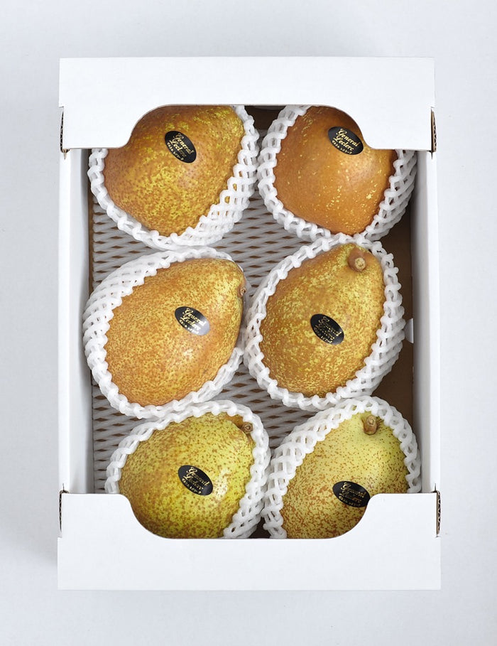 洋梨 【伊達農園】 ゼネラル・レクラーク 2.5kg 5～7個 贈答用 《11