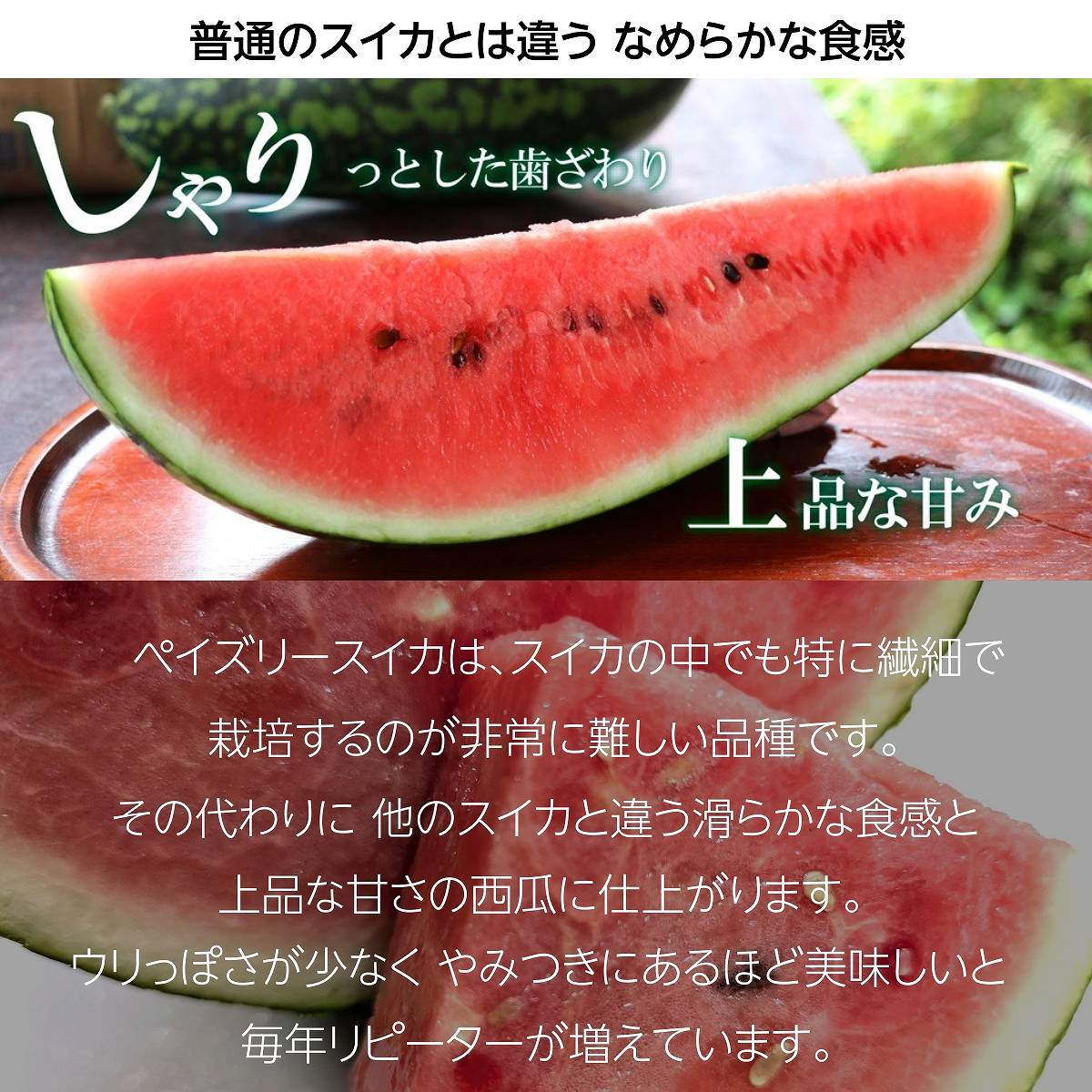 スイカ 【あさあけ農場】ペイズリースイカ 1玉 5〜6kg 山形県 尾花沢