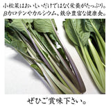 むらさき小松菜 【あさあけ農場】 150g×20袋 3kg 当日収穫 山形県尾花沢市 紫小松菜 業務用