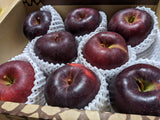りんご 【ニジイロ果樹園】蜜入 こうみつ 3kg 8～10個 山形県天童市 リンゴ 林檎 《12/7頃～12/中旬の出荷》