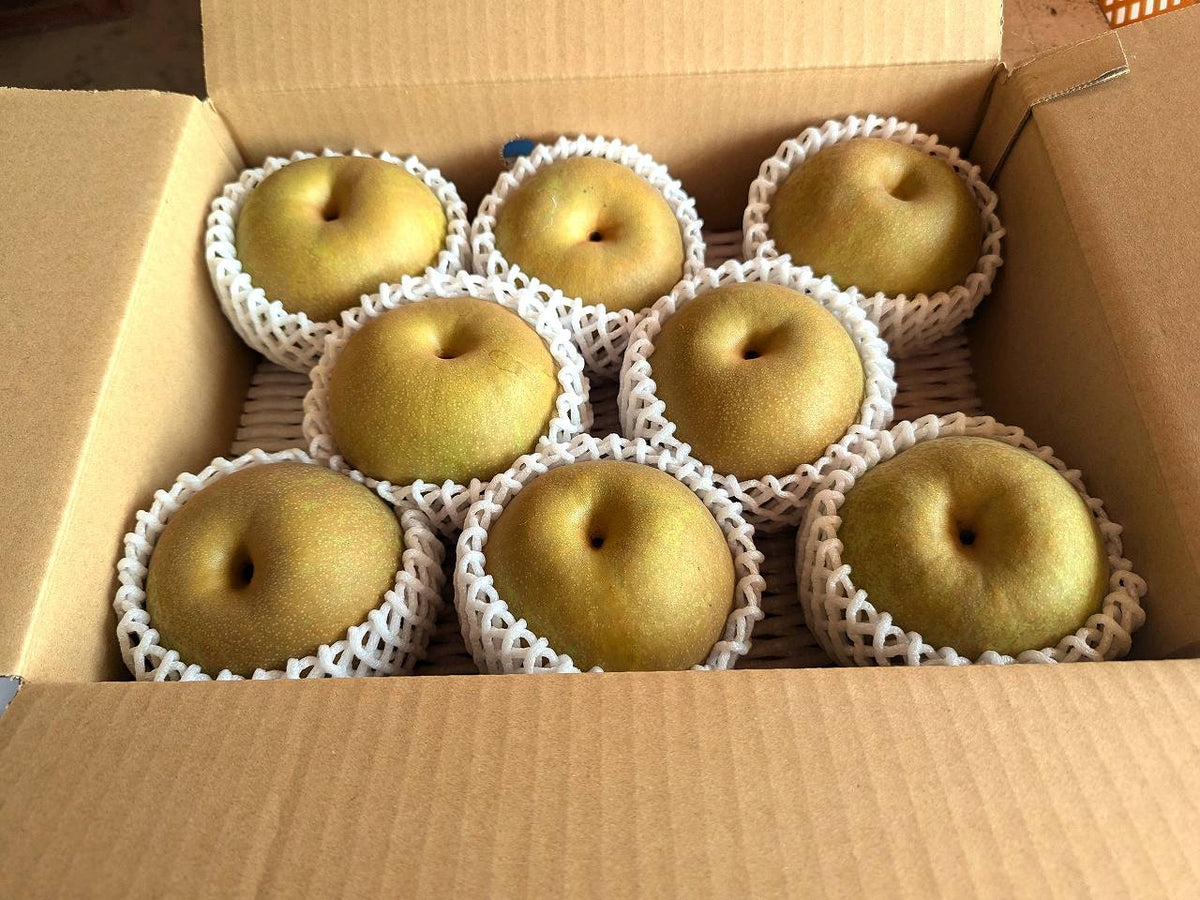 s-_73_1200x.jpg?v=1726034094