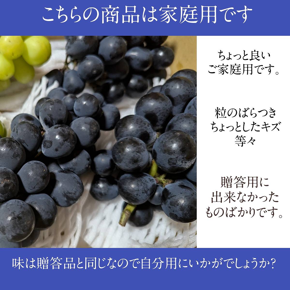 ぶどう 【米山農園】 ナガノパープル 家庭用 2.6kg 5～6房 長野