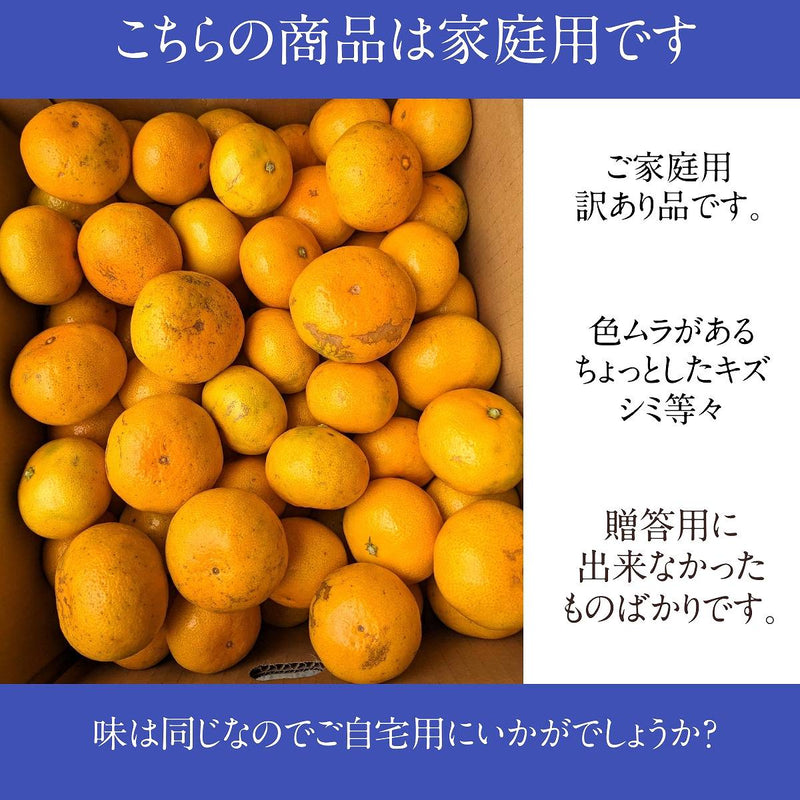 みかん 【とまハウス】 有田みかん 家庭用 訳あり 5㎏ サイズ混合 約50玉 +補償分300g 和歌山県 蜜柑 ミカン 柑橘 《11/下旬～12/上旬より出荷》