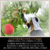 桃 【遠藤農園】 もも  5kg 14～22個 7月の桃 贈答 福島県 会津 《7月上旬～7月中旬より出荷》