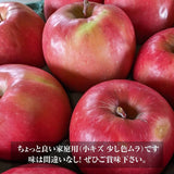 りんご 【信州安曇野 米山農園】 小玉りんご ピンクレディ ちょっと良い家庭用 4.5～5kg 20～28個 長野県安曇野 林檎