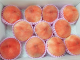 早期予約割引き/【種まきうさぎ】硬い 桃 おどろき 3kg（7～11個） 福島県伊達市 《8/12～8/中旬出荷》