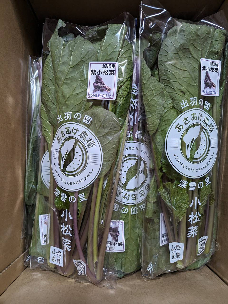 紫 小松菜 【あさあけ農場】 150g×10袋 1.5kg 当日収穫 山形県尾花沢市