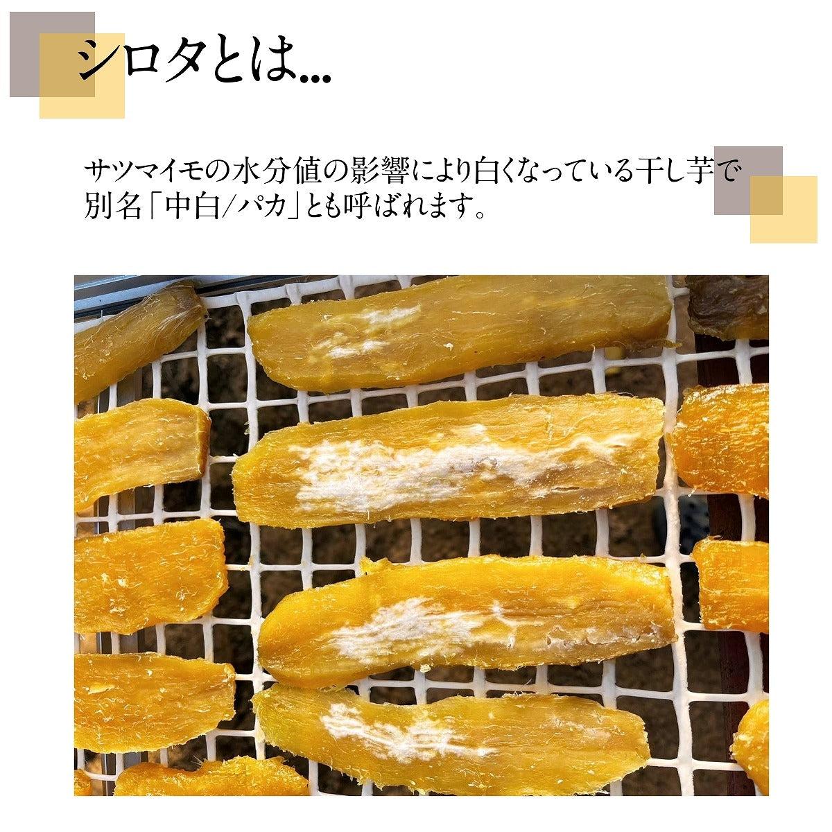 干芋 【藤田ファーム】 干し芋 訳あり シロタ ご家庭用 5kg 天日干し