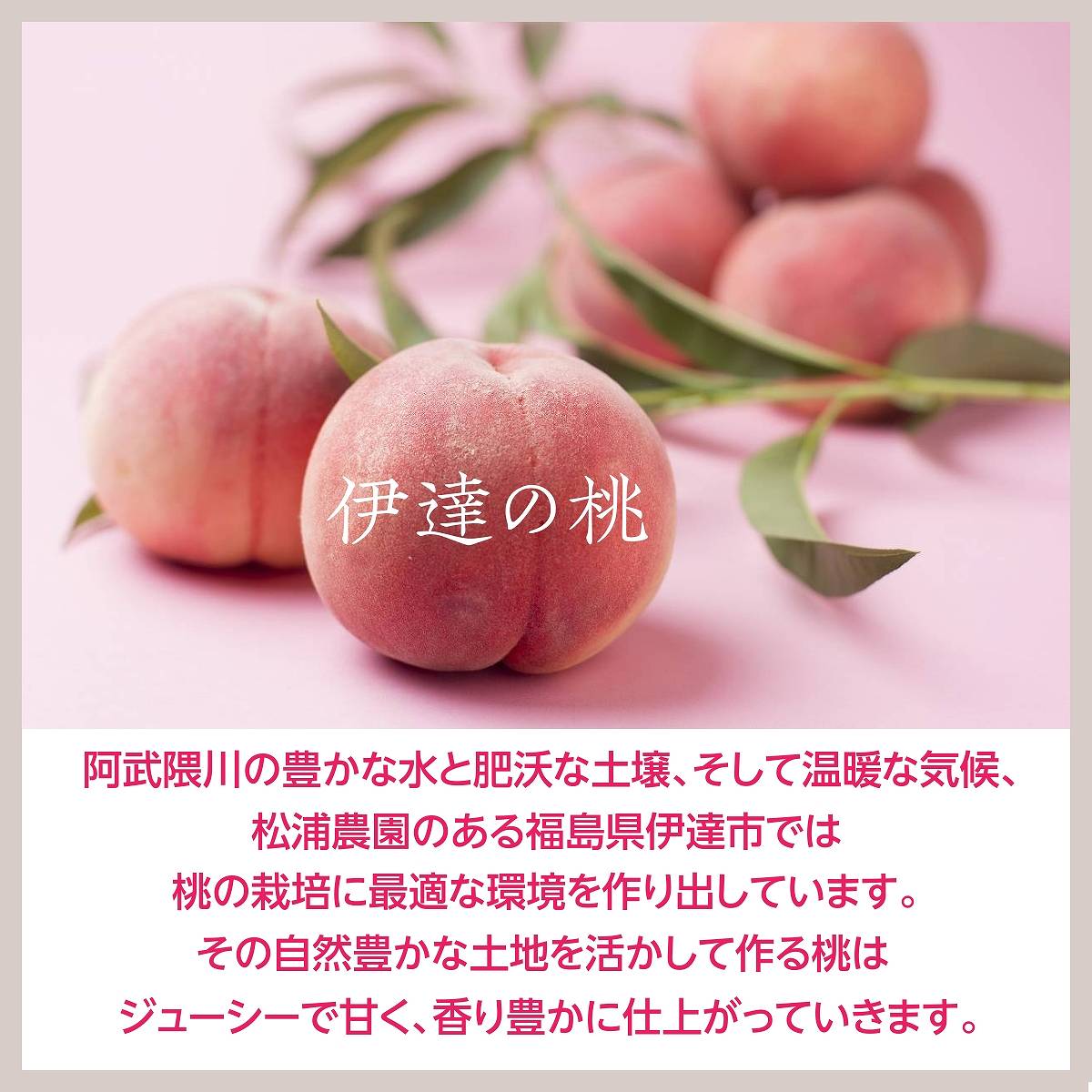 硬い桃　5キロ 硬い桃 5キロ(1キロ=3-6個) 食品