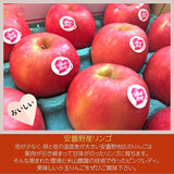 りんご 【信州安曇野 米山農園】 小玉りんご ピンクレディ ちょっと良い家庭用 2.5～3kg 10～15個 長野県安曇野 林檎