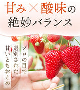 いちご 【アグリハウス秋山】 食べ比べ ゆうやけベリー とちおとめ 大玉 12～15個ずつ 750g 翌日配達の地域(東北～近畿）限定 贈答用 福島県 須賀川 苺《1/上旬～1/中旬より出荷》