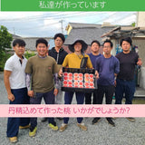 桃 【カンジュクファーム】 もも 3kg 8～12個 贈答用 お中元 御中元 山梨県南アルプス市 《7/中旬～7/下旬より出荷）