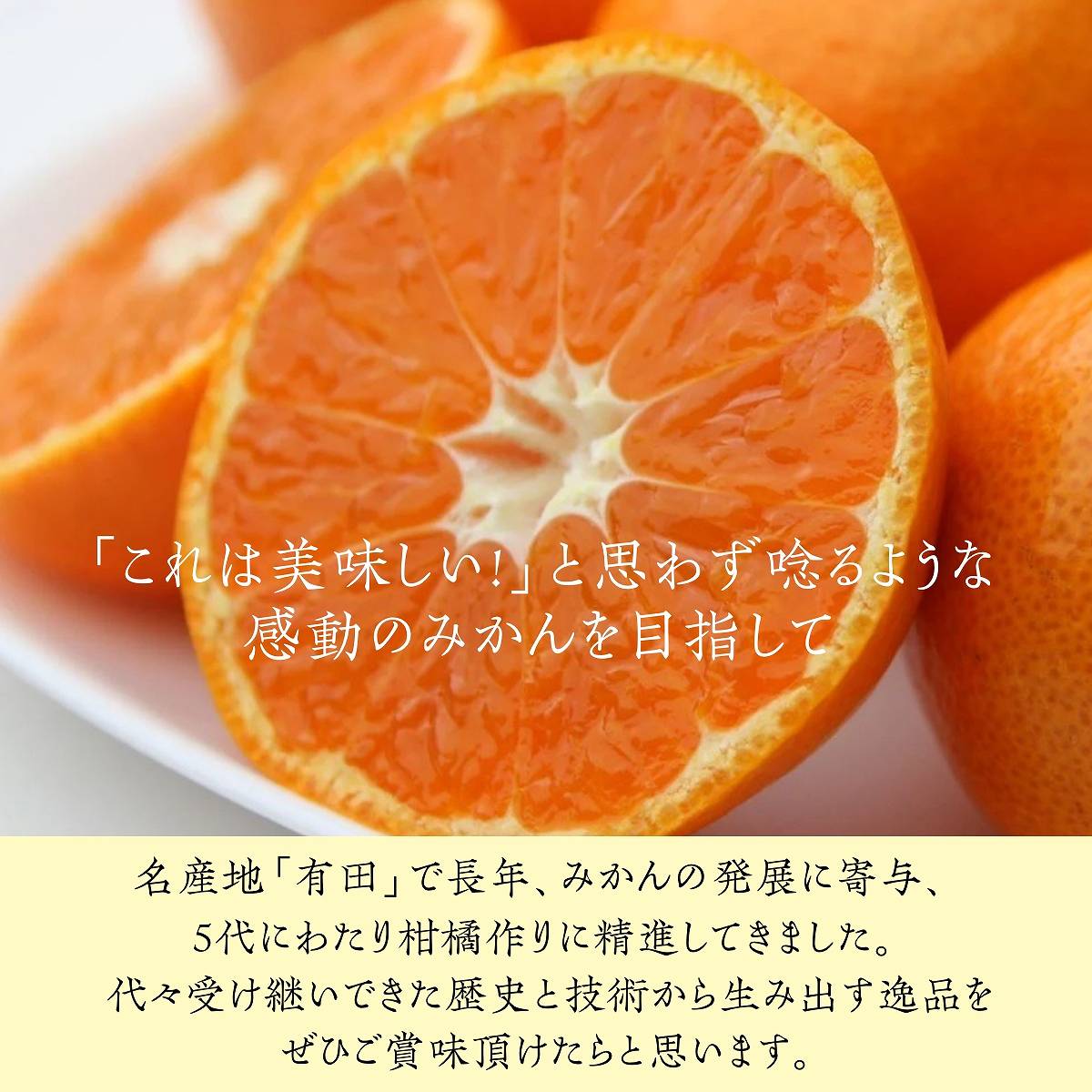 柑橘 【高石垣ファーム】 有田地区 柑橘食べ比べ 3種類以上 家庭用 4kg