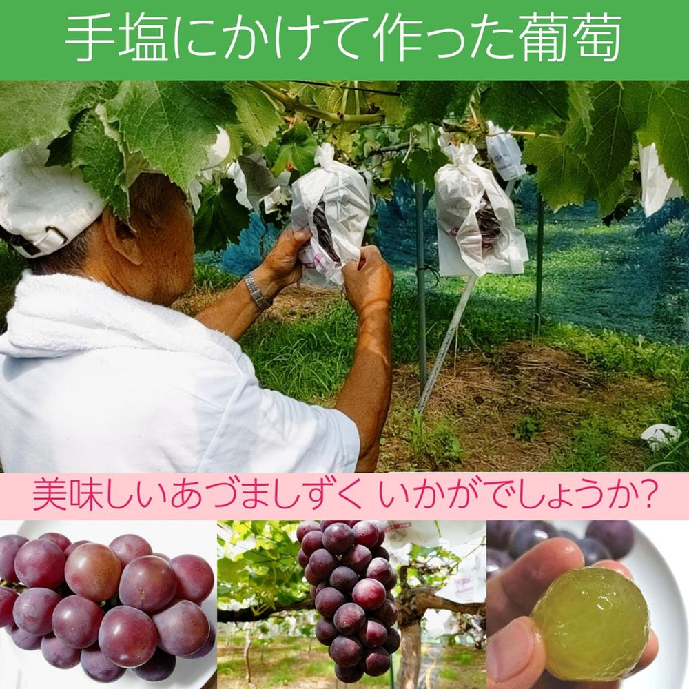 s-_9_e6d5fc87-637d-4df4-8583-