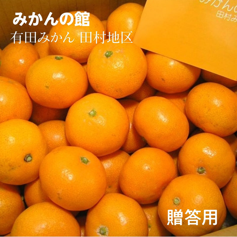 みかん 【みかんの館】 有田みかん ブランド産地 田村地区産 青秀 S 5kg 約60個 和歌山県 蜜柑 ミカン 柑橘 《11/上旬～11/中旬より出荷》