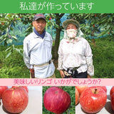 りんご 【佐藤幸男農園】 リンゴ 5kg フジ Ｌサイズ 13～16玉 贈答用 福島県 《12/上旬～12/中旬より出荷》