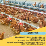 平飼い卵 【こころんファーム養鶏場】 たまご 卵 定期 15日×6ヶ月 ここたま 50個/月2回×6回 朝取 M～LL 福島県 平飼 定期購入 定期便