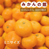 みかん 【みかんの館】 有田みかん ブランド産地 田村地区産 ちびみかん ミニミニ ぷちすぃーと 5㎏ S以下 和歌山県 蜜柑 ミカン 柑橘 《12/中旬～12/下旬より出荷》