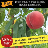 桃 【種まきうさぎ】 あかつき まどか 川中島等 3kg 9～12個 福島県 伊達市 贈答用  プレゼント もも 福島の桃