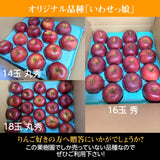 りんご 【ふんどのりんごや】 オリジナル品種 いわせっ娘 5kg 16～18個 福島県須賀川 《12/上旬～12/下旬の出荷》