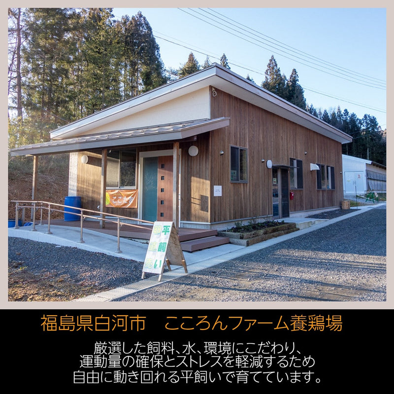 平飼い卵 【こころんファーム養鶏場】 たまご 卵 定期 30日×6ヶ月 ここたま 50個/月×6回 朝取 M～LL 福島県 平飼 定期購入 定期便