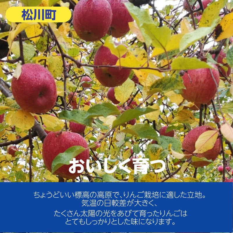 100％ジュース りんごジュース 【原農園】 100％ ストレート リンゴジュース １L 6本 長野 松川町 国産