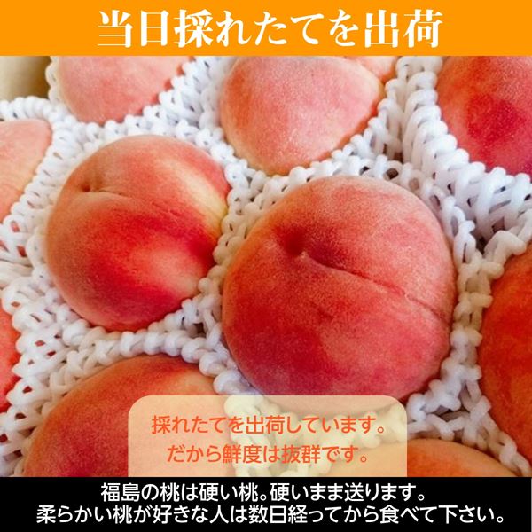 桃 【遠藤農園】 もも 3.5kg 大玉9～12個 贈答 品種色々 福島県 《7月下旬～8月上旬から出荷》