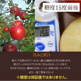 りんご 【ふんどのりんごや】 オリジナル品種 いわせっ娘 5kg 16～18個 福島県須賀川 《12/上旬～12/下旬の出荷》