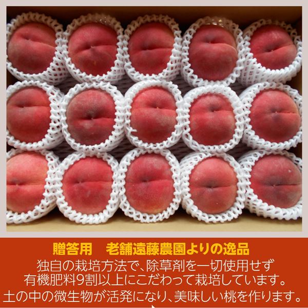 桃 【遠藤農園】 もも 5kg 中玉 20～22個 品種色々 贈答 福島県
