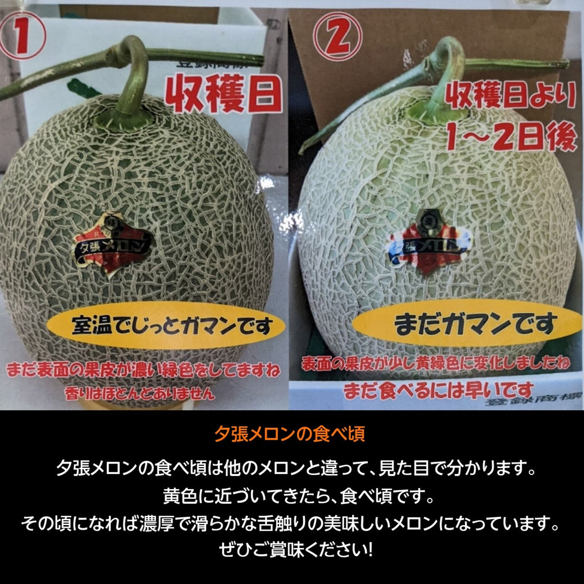 【他の方のご購入はお控え下さい】めろんのお石や様確認専用 他の方のご購入はお控え下さい】めろんのお石や様確認
