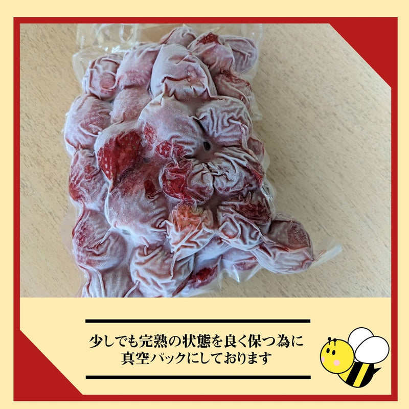 いちご 冷凍いちご  2kg 栃木県産 品種大きさ色々 イチゴ 苺 完熟 国産 業務用 真空パック